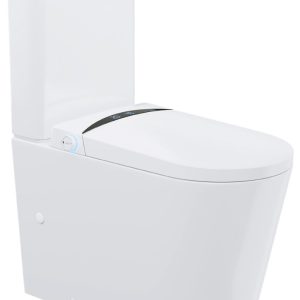 Intelligent Toilet